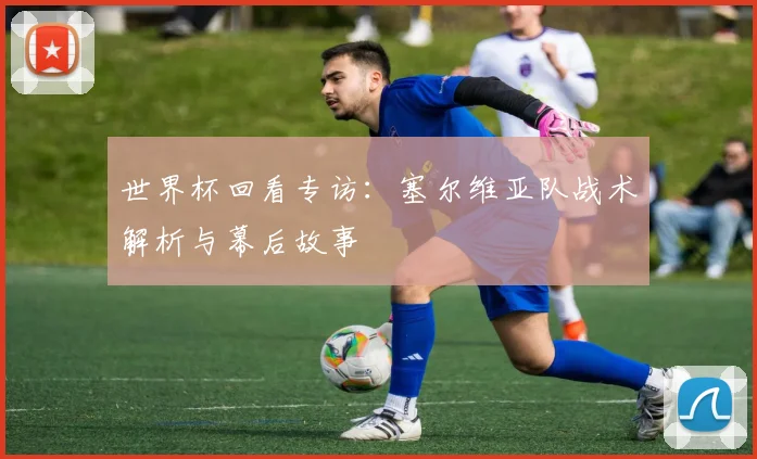世界杯回看专访：塞尔维亚队战术解析与幕后故事